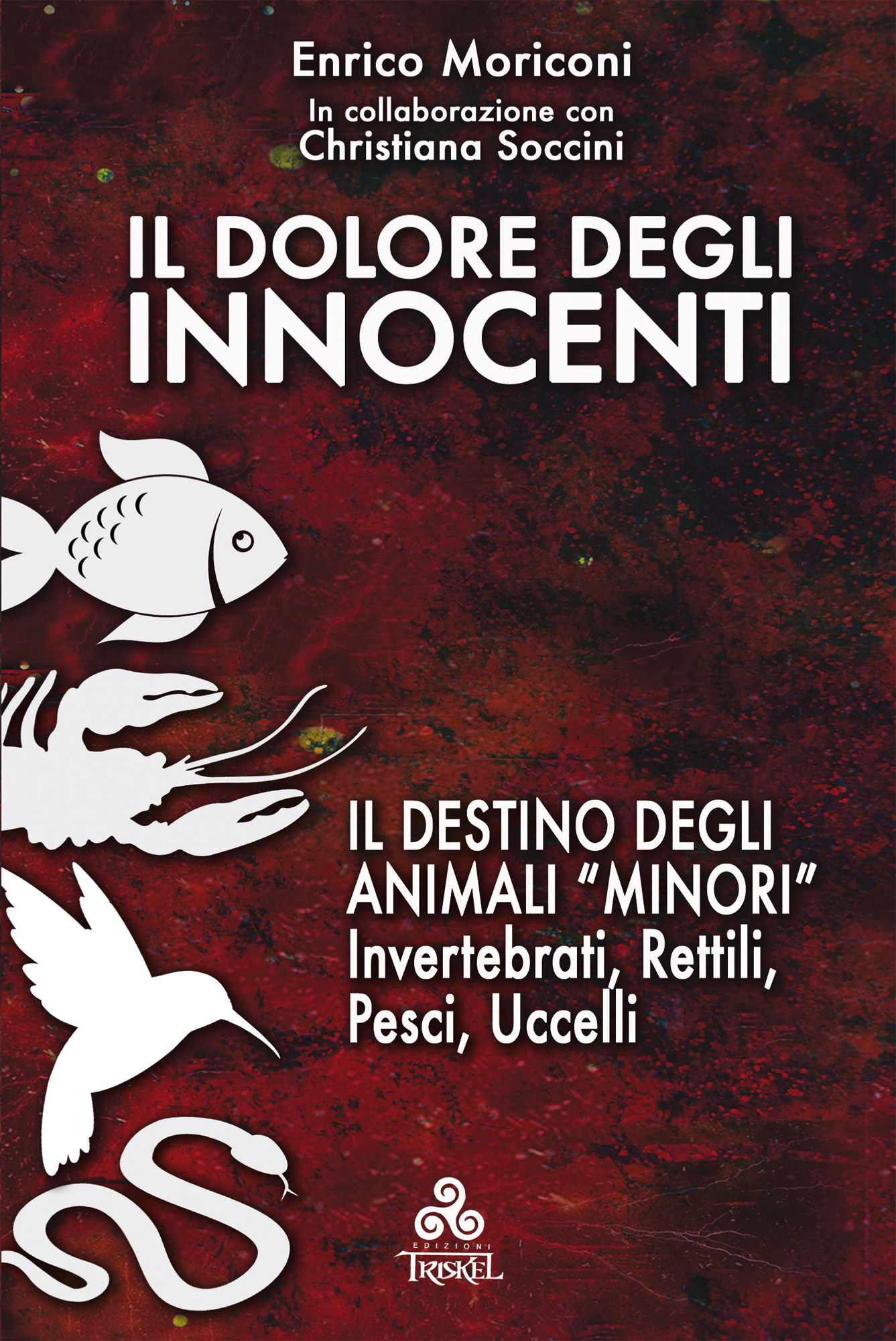 Il dolore degli Innocenti